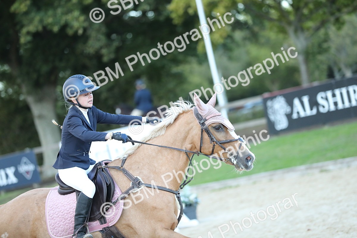 SBM_53689 - Supreme Championship 65cm 70cm