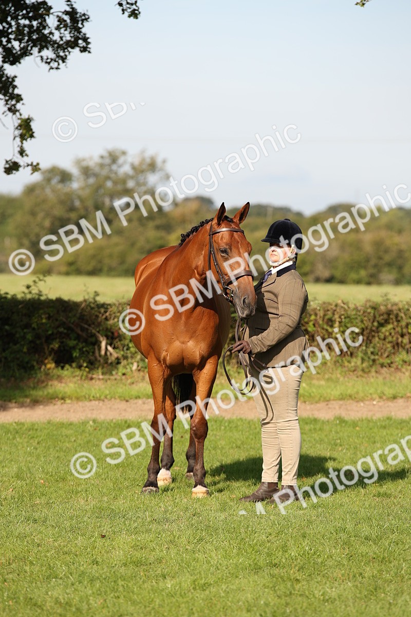 SBM_60127 - S53 - Hunter In Hand