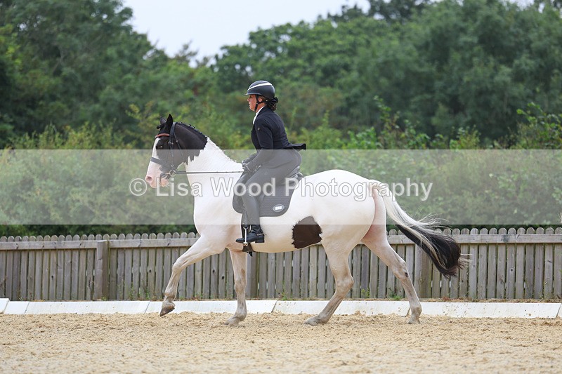 3E7A7076 - Class 7: Novice 4 2024 Section B