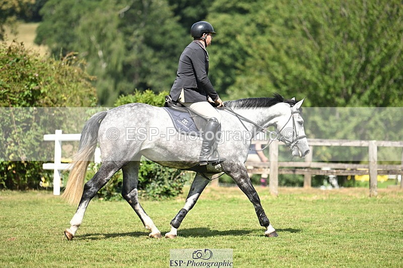 250704A-105321-07093 - Cls 25 Snr British Novice and 90cm