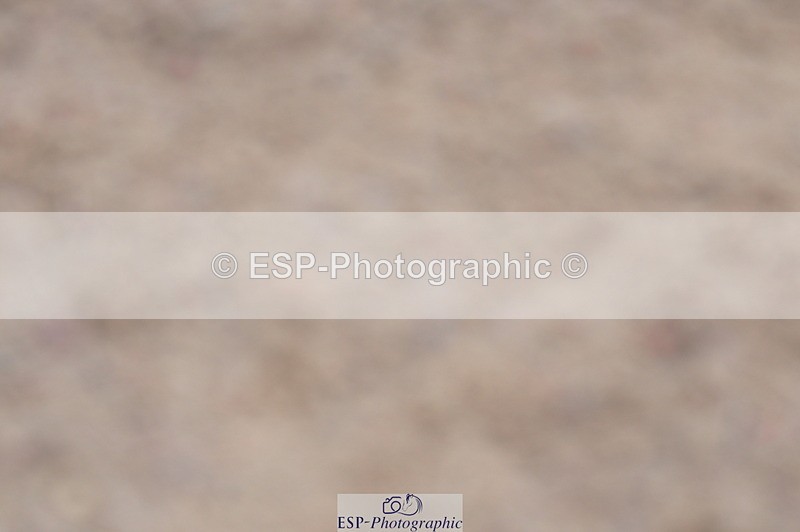 231017A-154450-07635 - Cls 30 Snr 85cm Derby