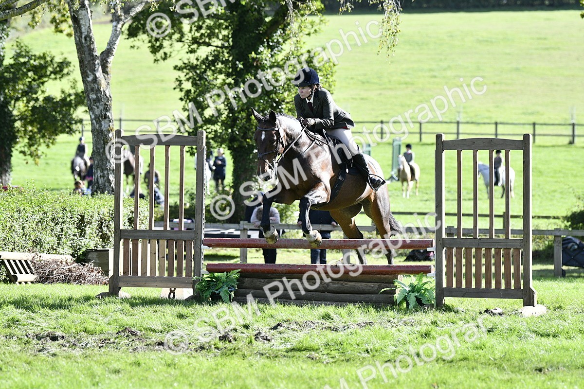 SBM_50062 - S34 - Novice & Newcomers Working Hunter