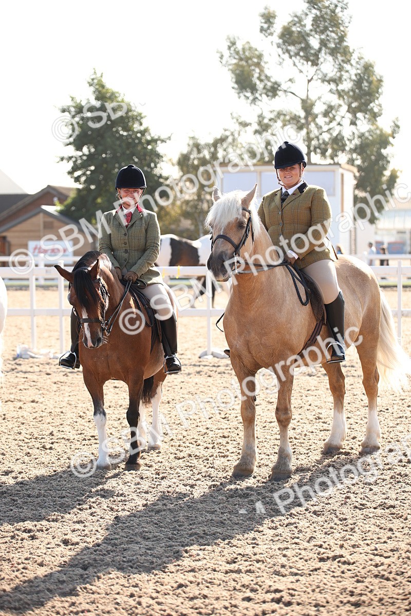 SBM_00713 - Class 14 Ridden M&M Wildcard