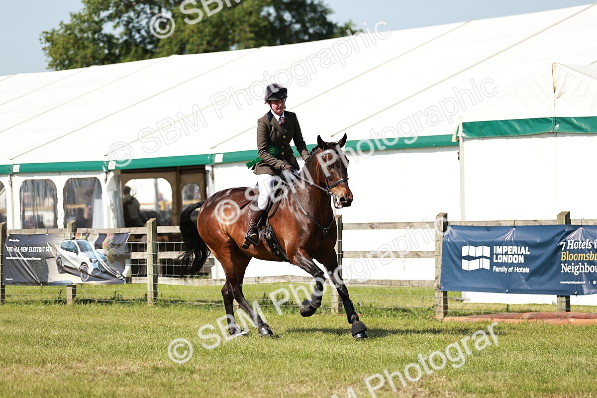 SBM_18495 - Class 112-113 - BSPS LIHS Working Sports Pony