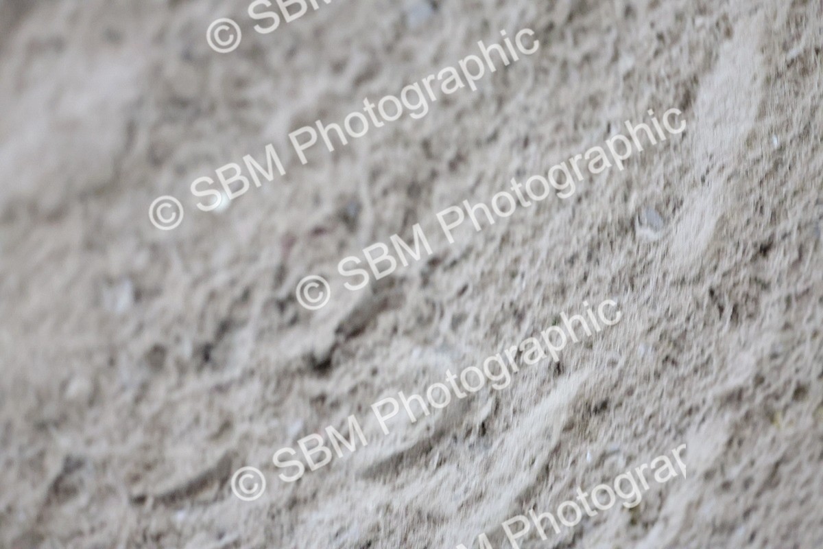 SBM_003938 - Class 10 - National B&C Handicap Championship Qualifier