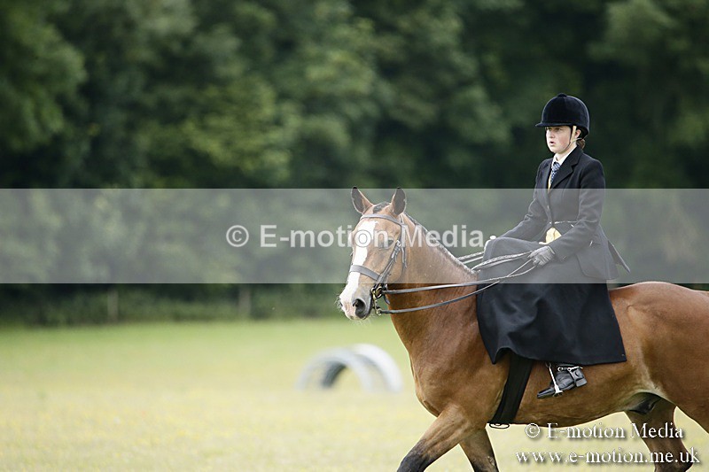 BVR160717-1572 - Side Saddle Classes 16/07/17