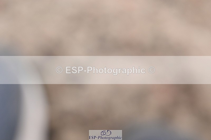 240623A-121227-18205 - Cls 49 Music Novice