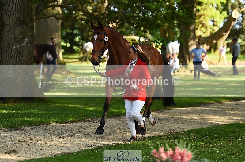 230524-170416-01269 - 152-RENKUM_JITTERBUG-Phoebe_Locke-WEDTrotUp+DR
