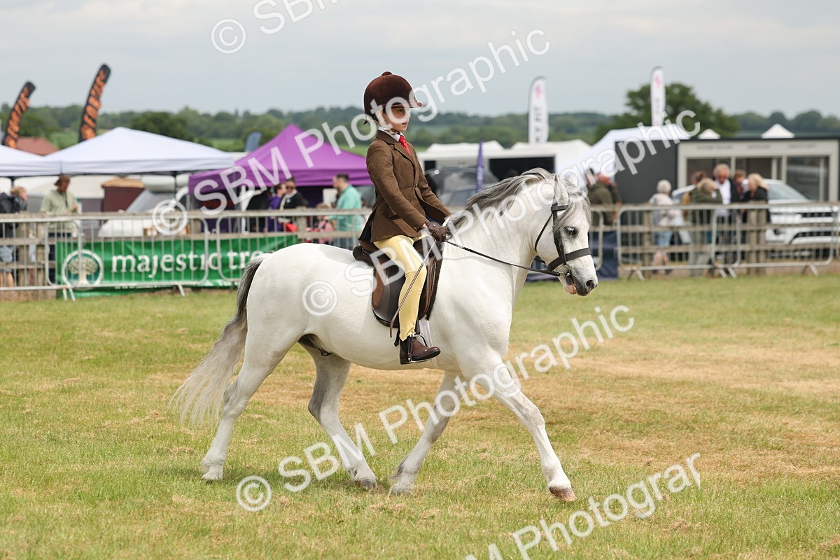 SBM_06876 - Class 74-75 - M&M Lead Rein and First Ridden Pony