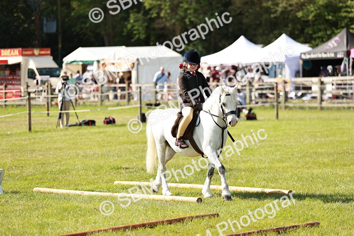 SBM_12619 - Class 106-107 - BSPS LIHS Working Sports Pony