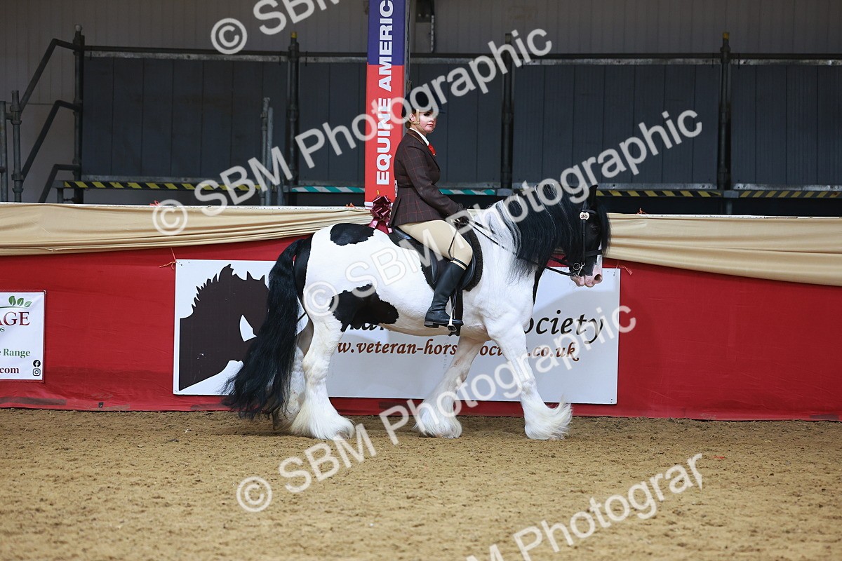 SBM_09587 - Class 102 - HOYS Veteran Qualifier - Ridden Veteran