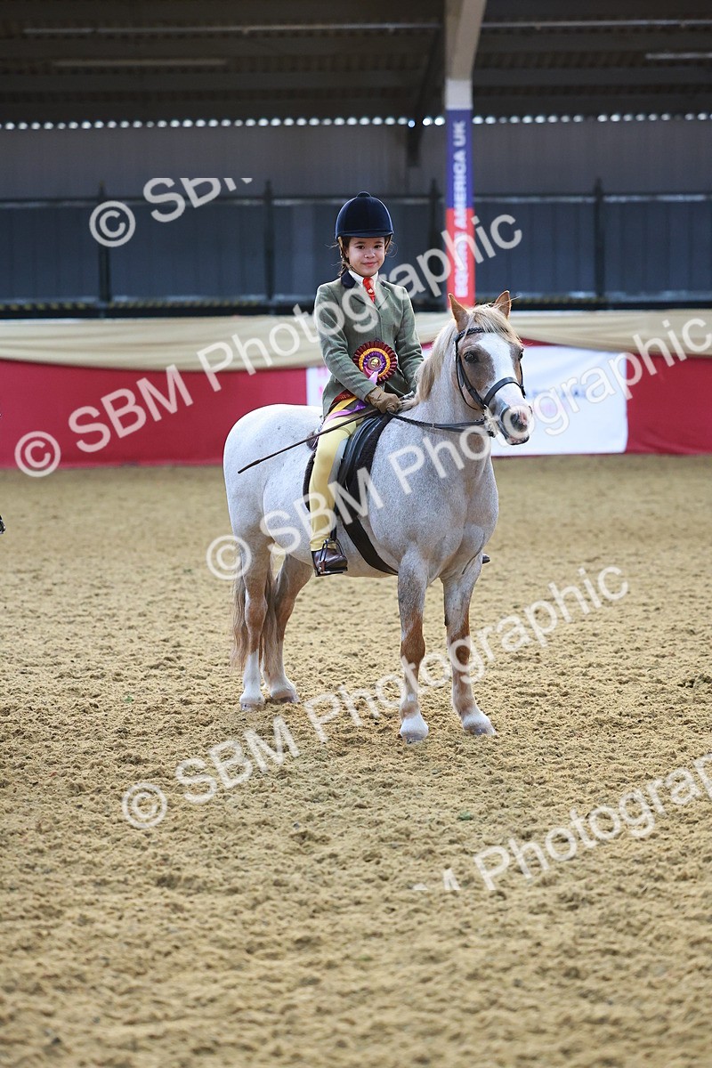 SBM_07761 - Class 101 - HOYS Veteran Qualifier - Ridden Diamond