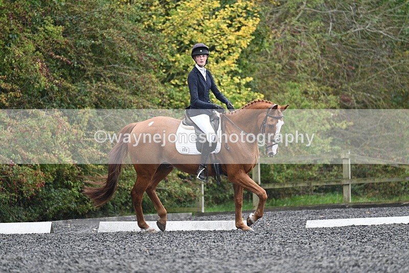 WJ7_6632 - Time 14:49 to 15:14