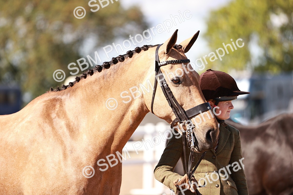 SBM_13337 - class 406 - IH Hunter