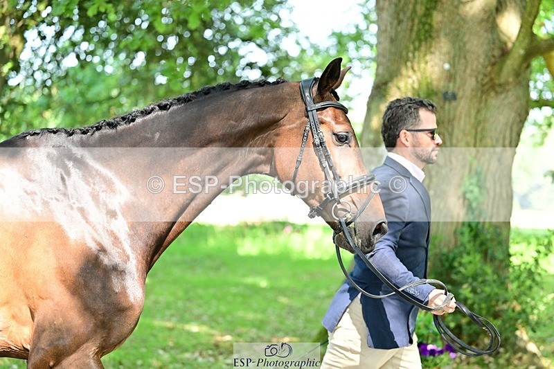 260527A-153152-01252 - C-390-Marcio.Appel