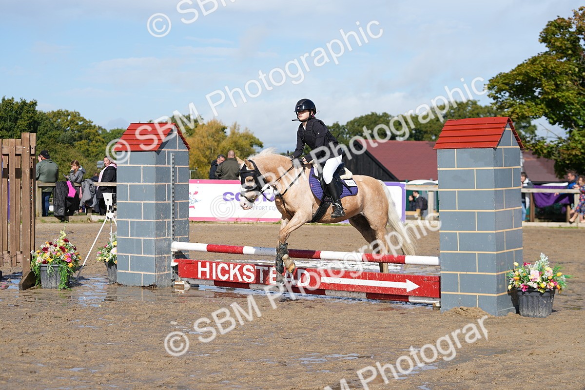SBM_38483 - J6 - Junior Pony 55cm Championship