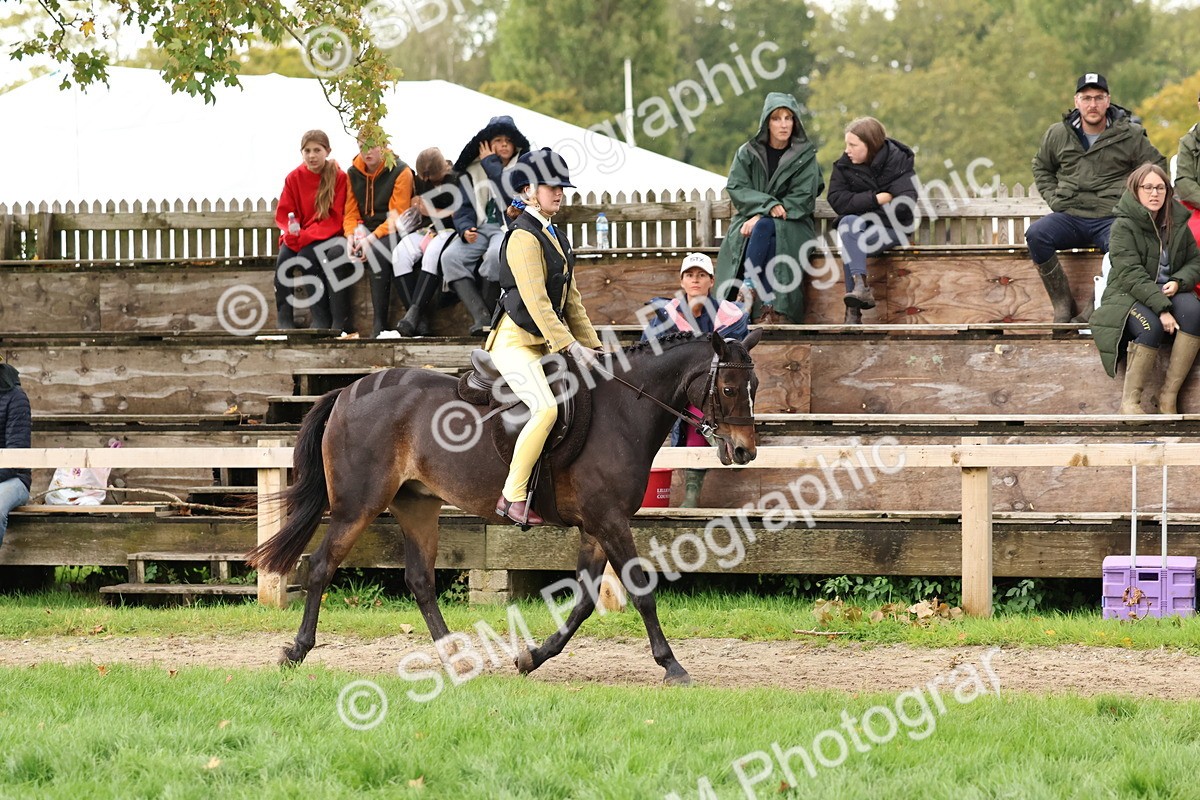 SBM_44976 - S27 - Young Veteran Ridden