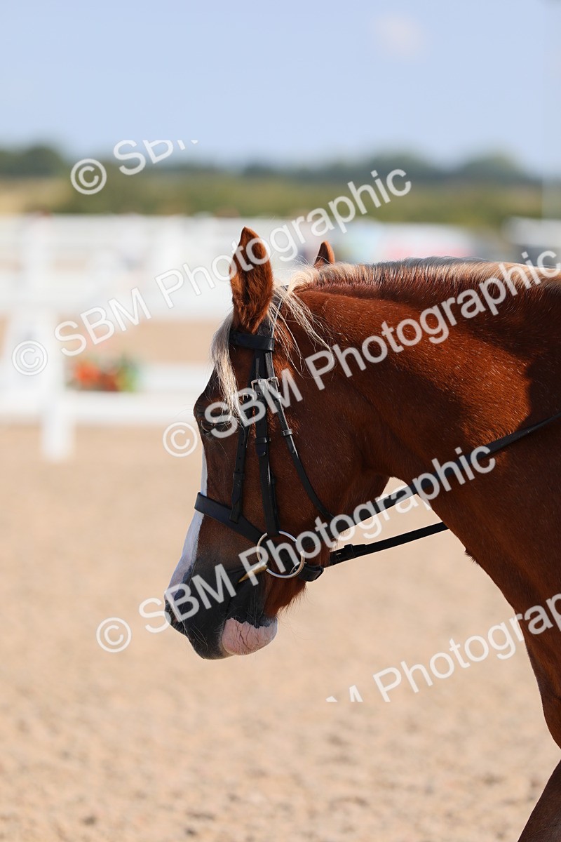 SBM_02546 - Class 30 Intro 1