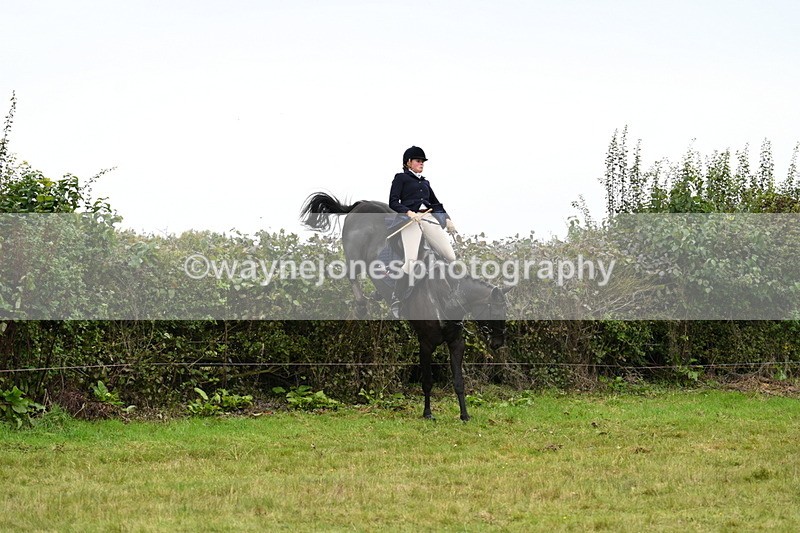 WJ7_4225 - Camera 1 Line 2