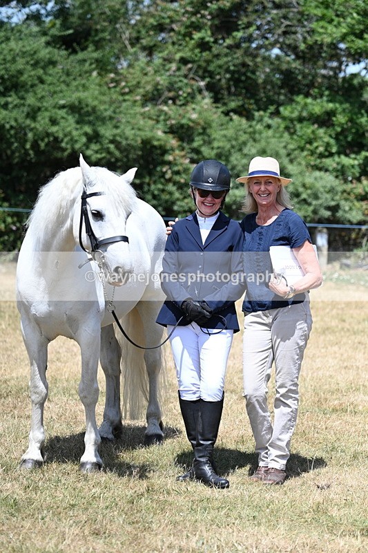 WJ7_2470 - Class 5a Most Handsome Gelding in hand (above 14.2hh)
