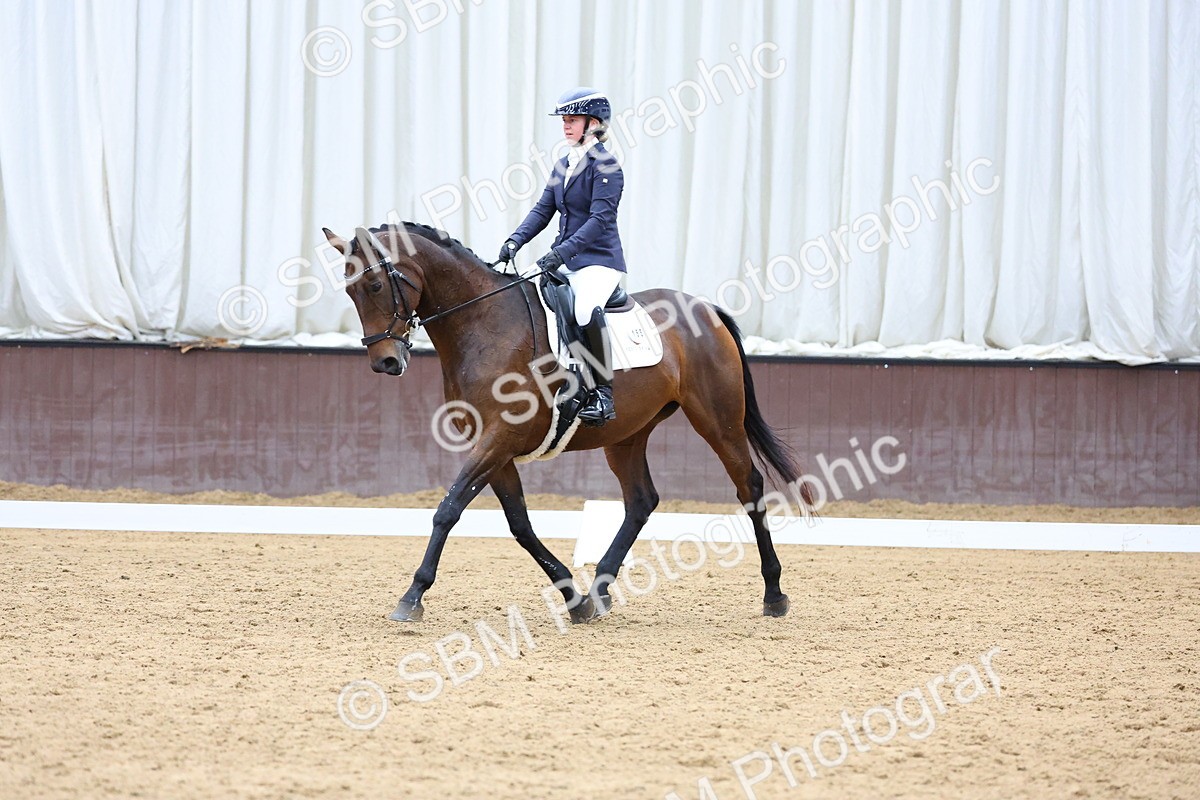 SBM_003379 - Elementary 1