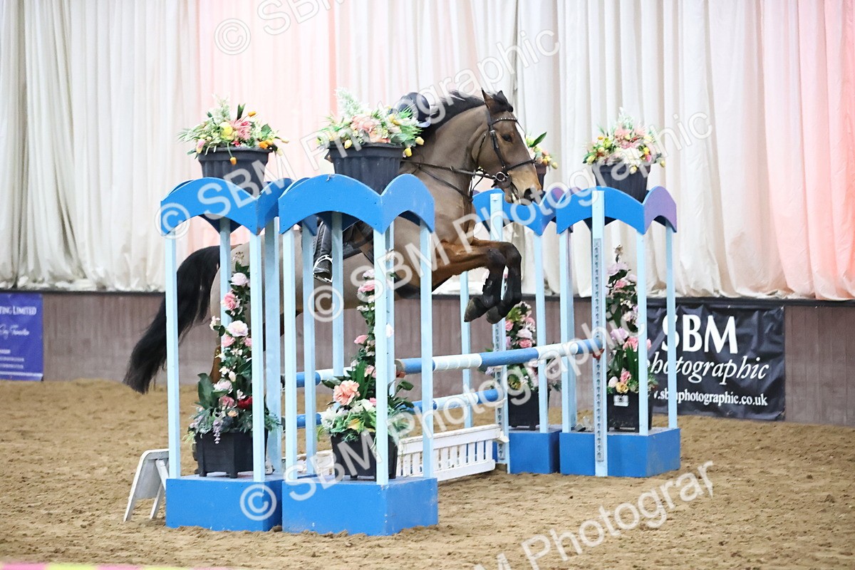 SBM_002080 - Class 8 - Senior British Novice - 90cm