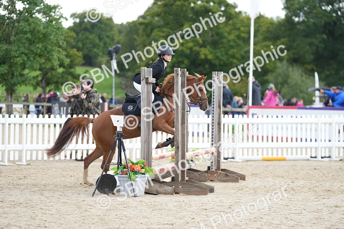 SBM_40006 - J6 - Junior Pony 55cm Championship