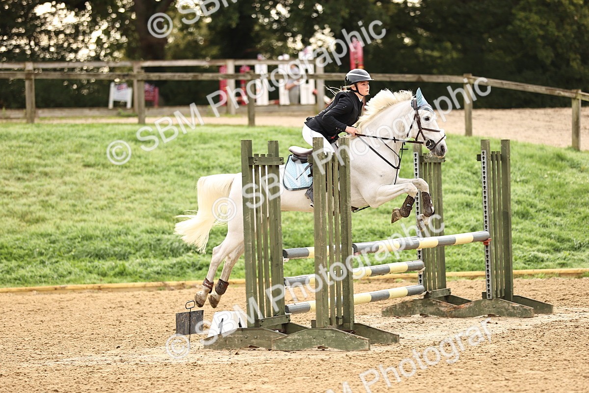 SBM_58167 - J41 - Grand Tour Horse & Pony 95cm