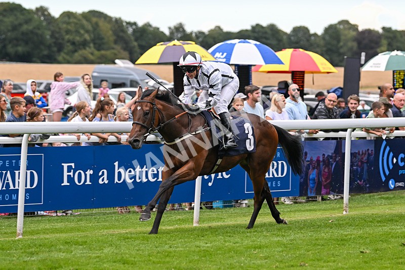 290725-Race 5-U Turn-0688 - Race 5