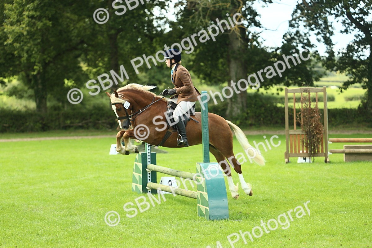 SBM_42829 - S30 - M&M Working hunter Pony