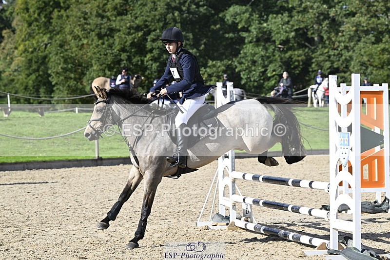 251005A-141553-04342 - Cls 09 Nov 80-85cm