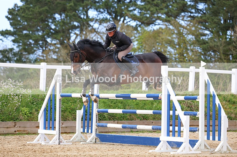 3E7A2327 - Class 8: Senior Foxhunter/1.20 open