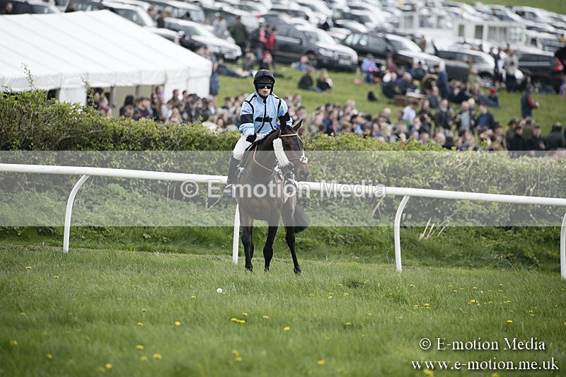 PtP 170417 109 - Old Berks Point-to-Point Lockinge 17/04/17