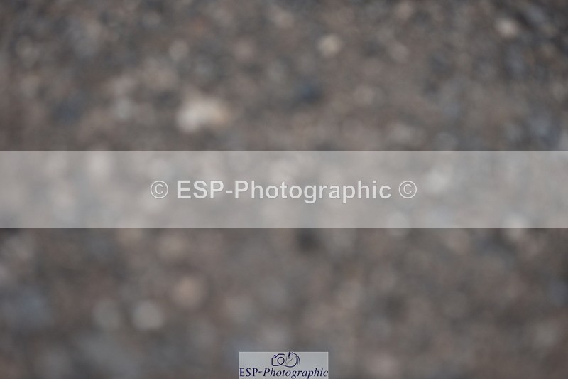 240623A-174910-20245 - Presentation Photos