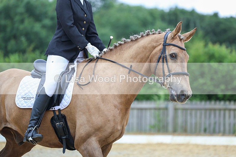 3E7A9360 - Class 4: Prelim 3 2024 - Section B