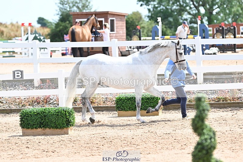 240717A-144840-02312 - Trot Up 2pm to 3pm - This folder is not in time order