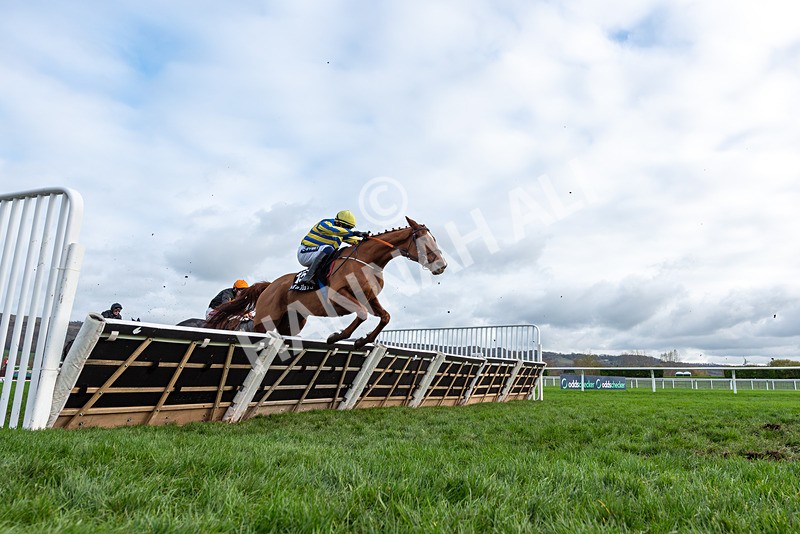 161125-Race 1-Astelia-2934 - Race 1