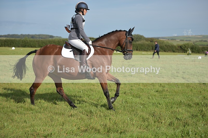 RAY_7568 - Class 2B: Trekenning Open: Dressage