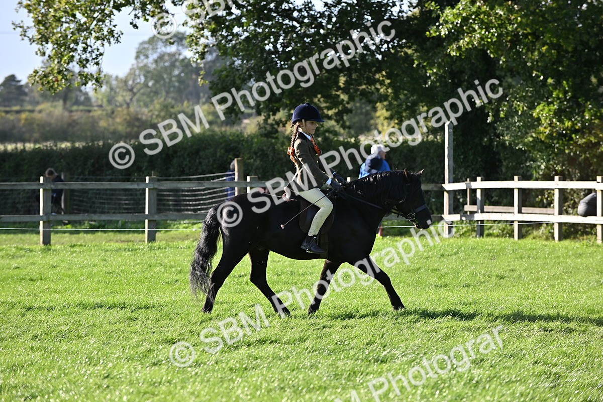 SBM_53016 - S23 - First Ridden Mountain & Moorland Pony
