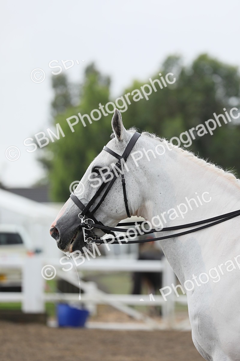 SBM_21264 - Class 805 - Ridden Veteran Horse