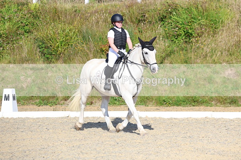 3E7A3377 - Class 2: Intro 1 2024 Section B