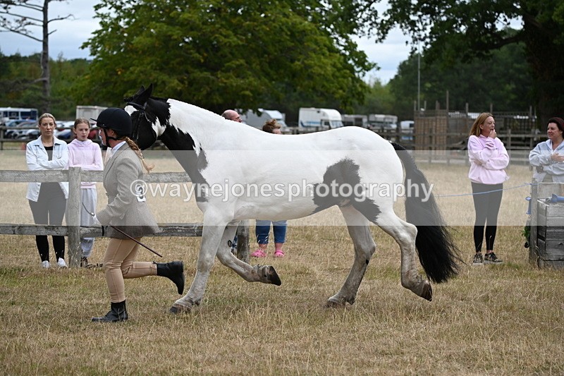 WJ6_8387 - Class 10 Coloured in Hand