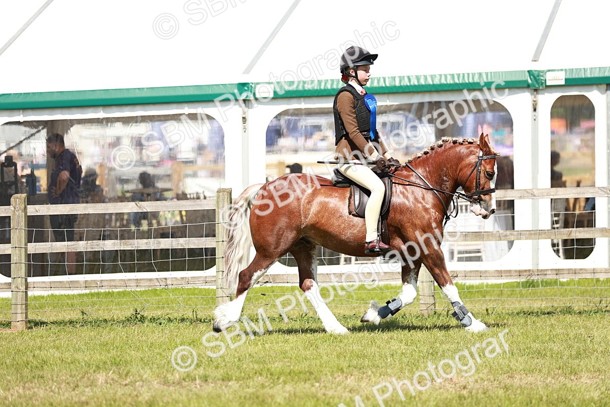 SBM_17682 - Class 112-113 - BSPS LIHS Working Sports Pony