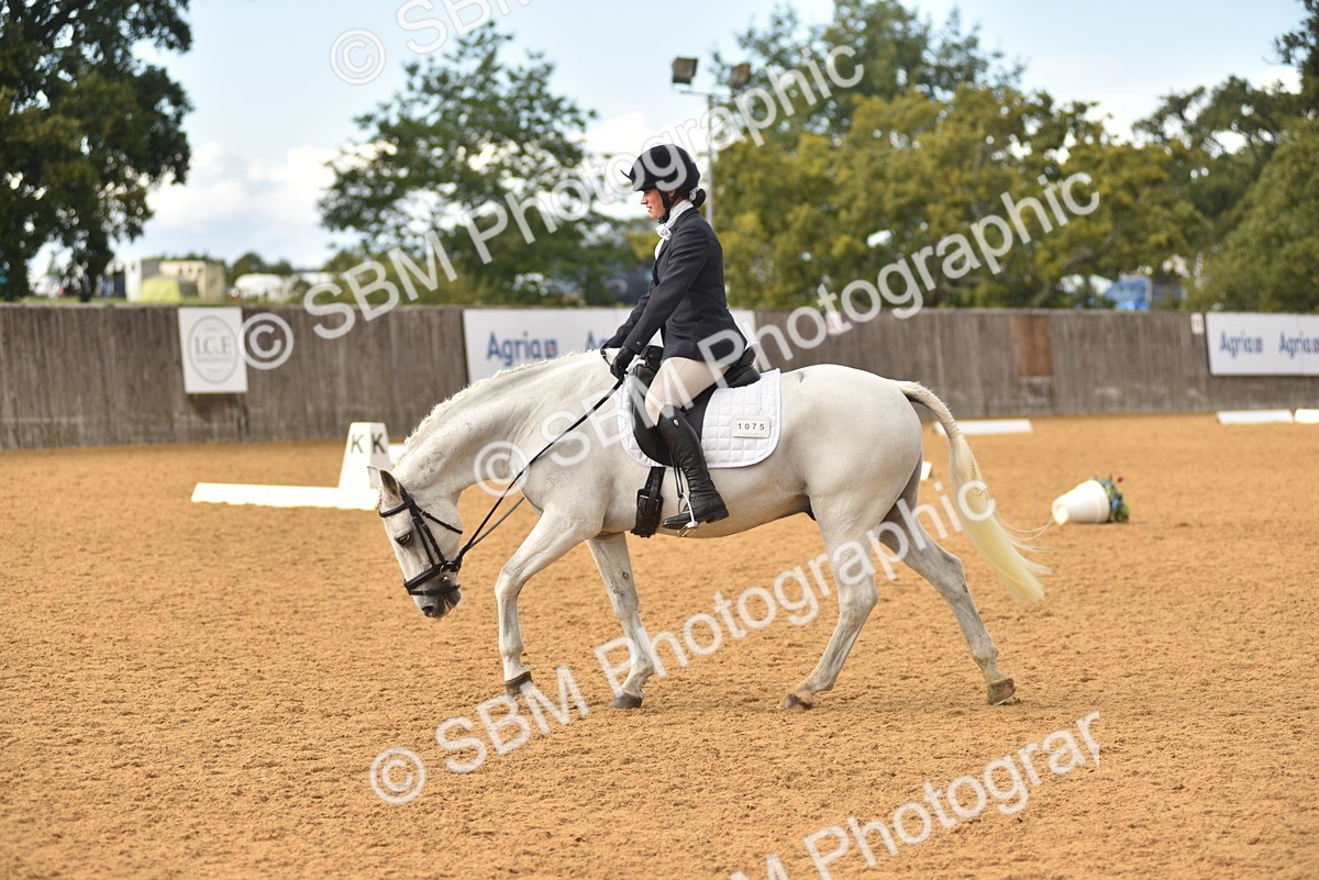 SBM_11371 - D15 - Small Tour Championship Novice 1