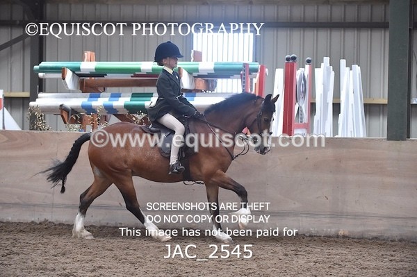 JAC_2545 - CLASS 3 Intermediate Working Hunter