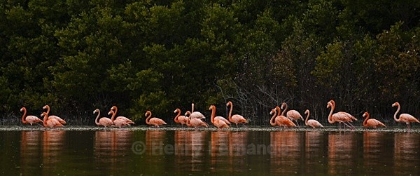  - Yucatan, Mexico