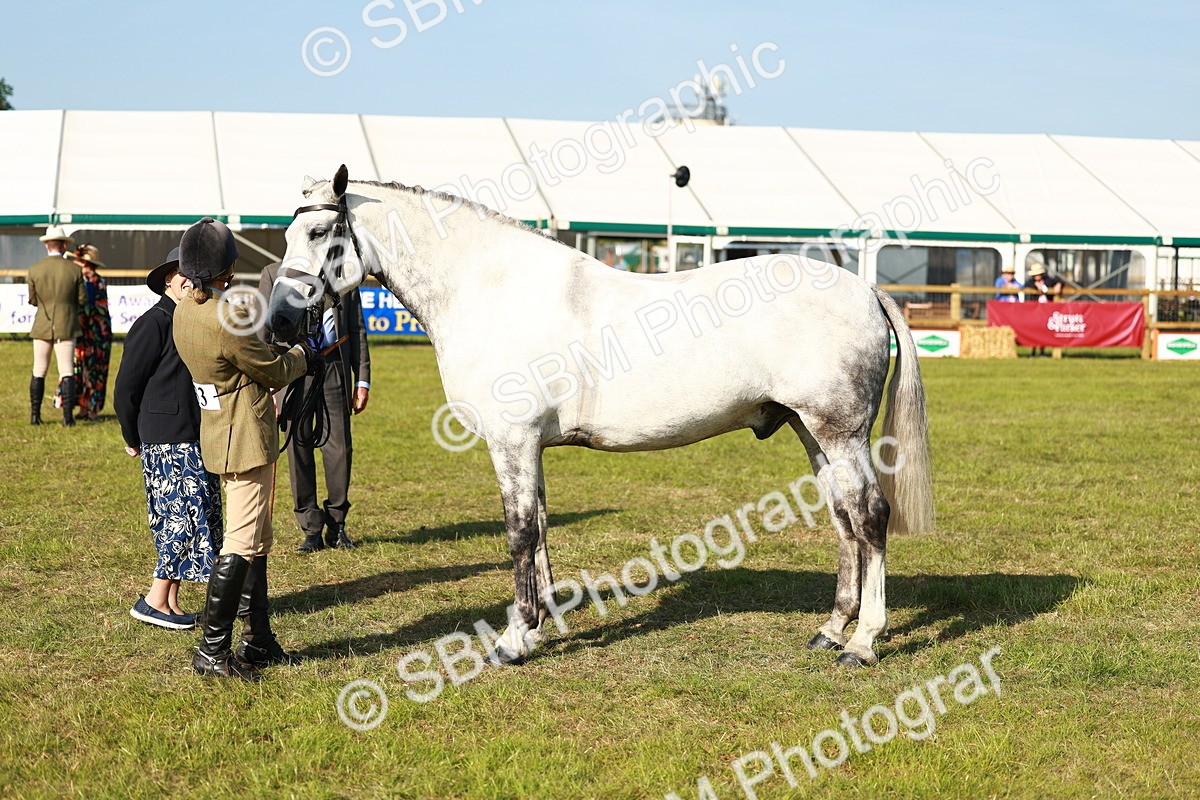SBM_10809 - Class 66-69 - RIHS Ridden Hunters Inc Small Hunter