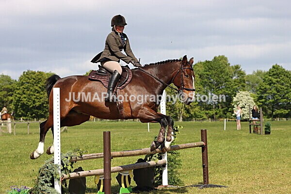 IMG_4799 - Working Hunter