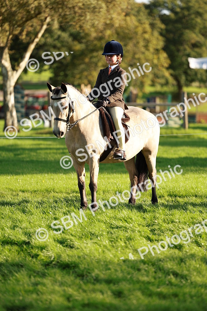 SBM_28762 - S7 - Novice & Newcomer Ridden Pony