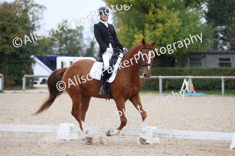 20251011-0550 - Class 6 - Elementary 1